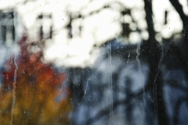 14_SD0311151204-1_©KOMOTZKI.jpg 14_SD0311151204-1_©KOMOTZKI.jpg