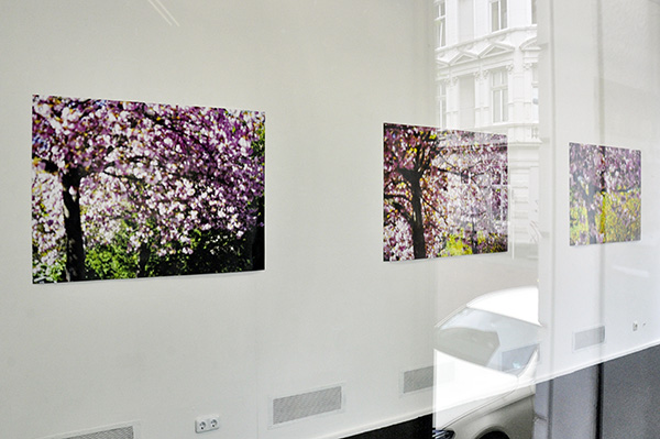 2023-06_BLUETHE-1_600.jpg 2023-06_BLUETHE-1_600.jpg