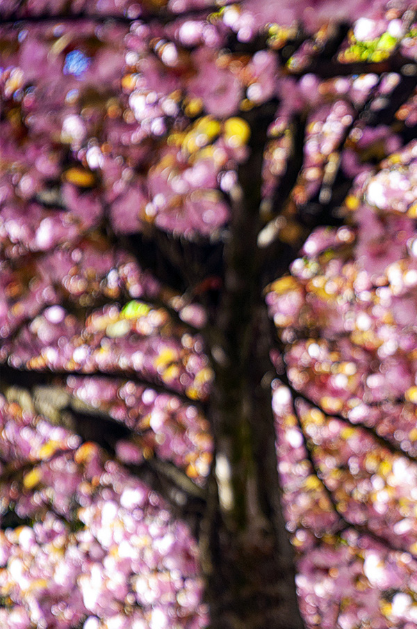 2023-06_BLUETHE-2_600.jpg 2023-06_BLUETHE-2_600.jpg