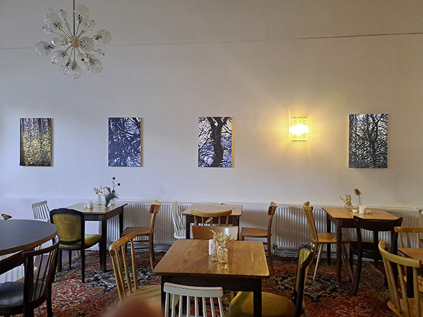 20231130_155006-3_600pb.jpg 20231130_155006-3_600pb.jpg