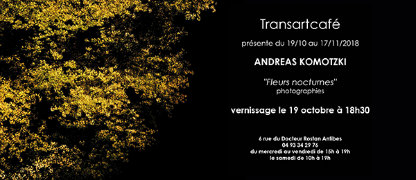 24_transart_10-2018.png 24_transart_10-2018.png