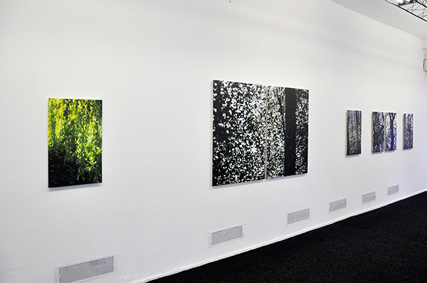 2_dsc0631-2_600pb.jpg 2_dsc0631-2_600pb.jpg