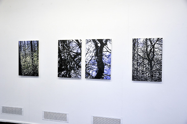 3_DSC0642-2_600PB.jpg 3_DSC0642-2_600PB.jpg