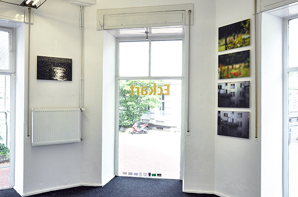 7_DSC1648-1_600B.jpg 7_DSC1648-1_600B.jpg