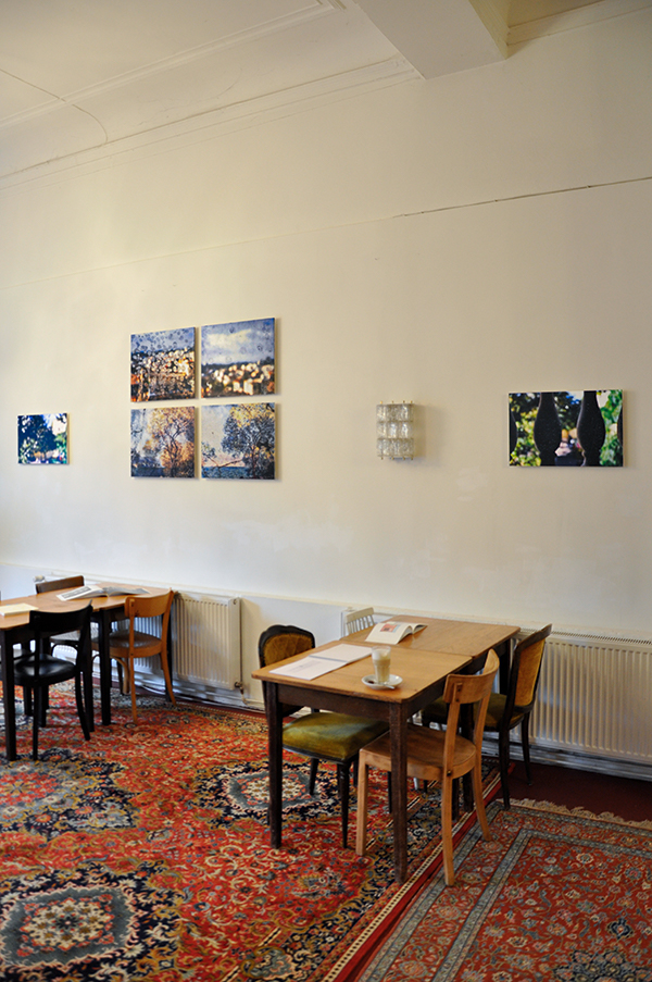 _DSC0130-1_600PB.jpg _DSC0130-1_600PB.jpg