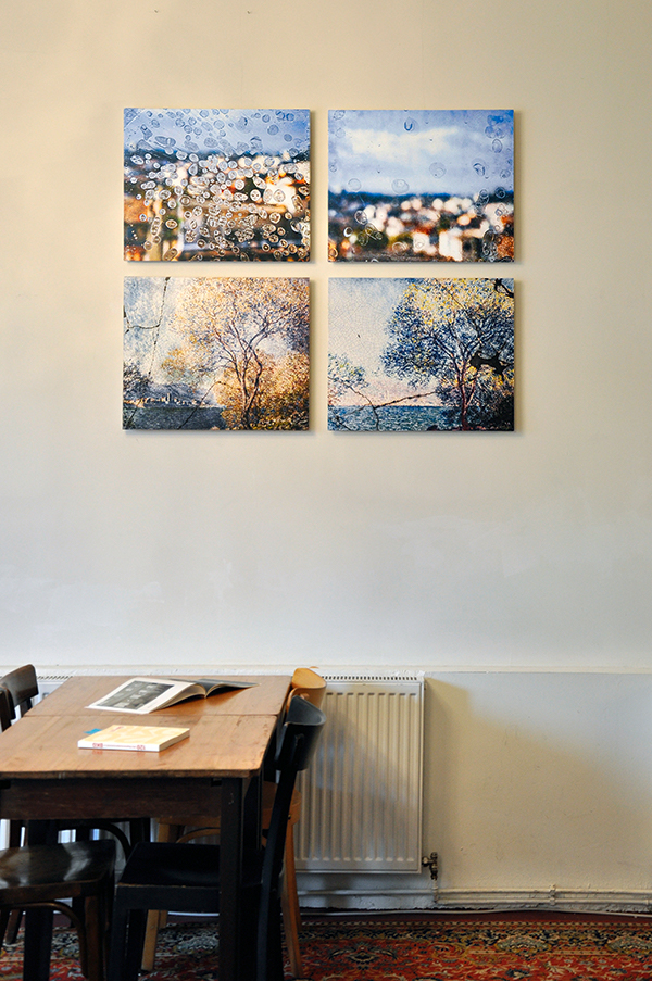 _DSC0148-1_600PB.jpg _DSC0148-1_600PB.jpg