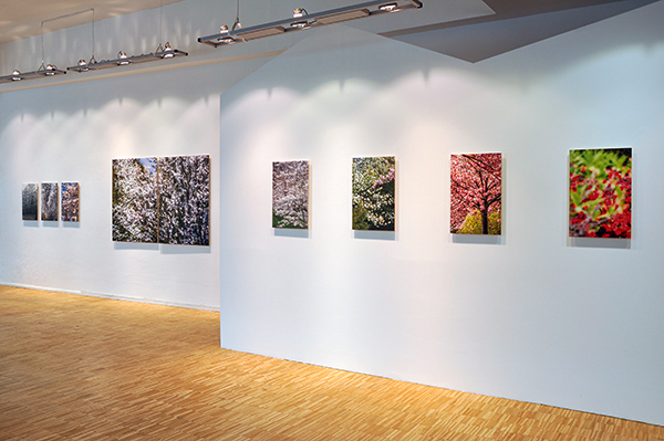 _DSC0152-1_600PB.jpg _DSC0152-1_600PB.jpg