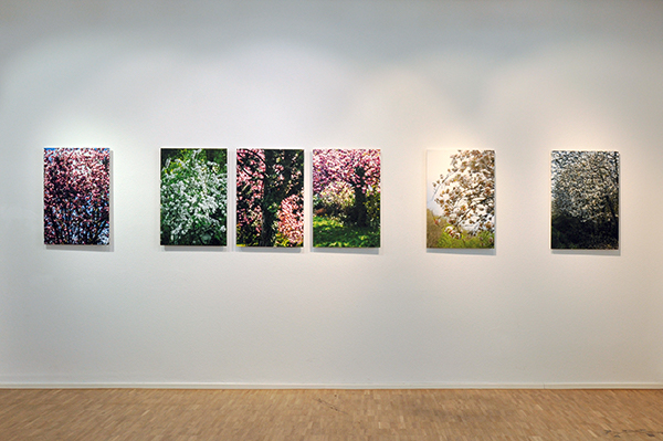 _dsc0186-1_600pb.jpg _dsc0186-1_600pb.jpg