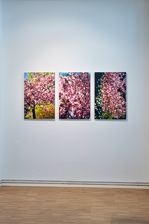 _dsc0192-1_600pb.jpg _dsc0192-1_600pb.jpg