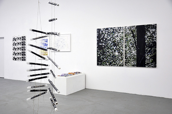 _DSC0386_600PB.jpg _DSC0386_600PB.jpg