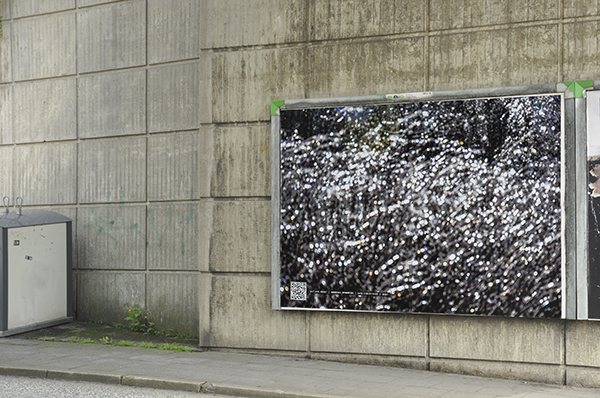 _DSC0462b.jpg _DSC0462b.jpg