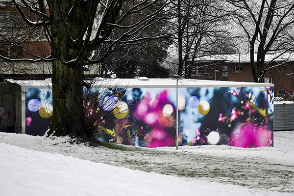 _DSC0477-1_600B.jpg _DSC0477-1_600B.jpg