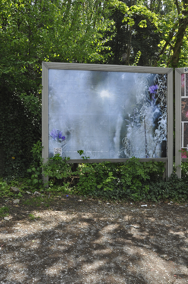 _DSC0489b.jpg _DSC0489b.jpg