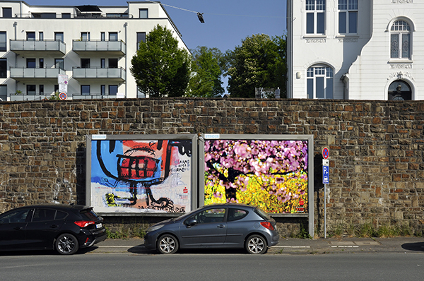 _DSC0701_mod1d.jpg _DSC0701_mod1d.jpg