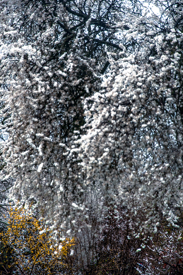 AK_EinJahr-KW12_600PB.jpg AK_EinJahr-KW12_600PB.jpg