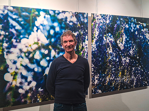 Blauregen-Diptychon_Glashalle_600PB.jpg Blauregen-Diptychon_Glashalle_600PB.jpg