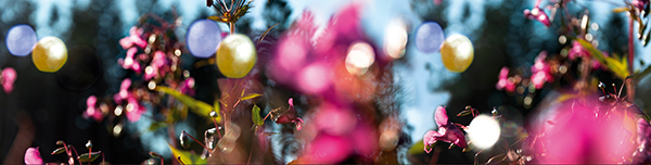 bluethe0409211722.jpg bluethe0409211722.jpg