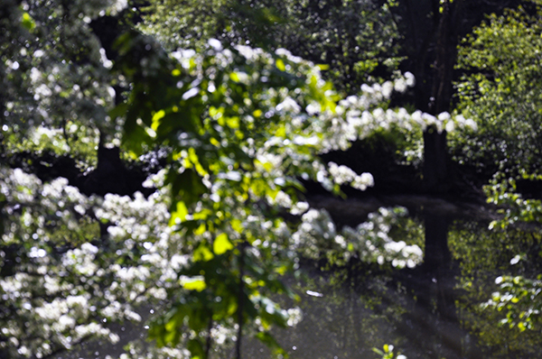 BLUETHE2905210907.jpg BLUETHE2905210907.jpg