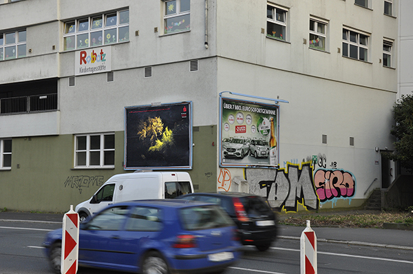 FleursNocturnes_Mai2022.jpg FleursNocturnes_Mai2022.jpg