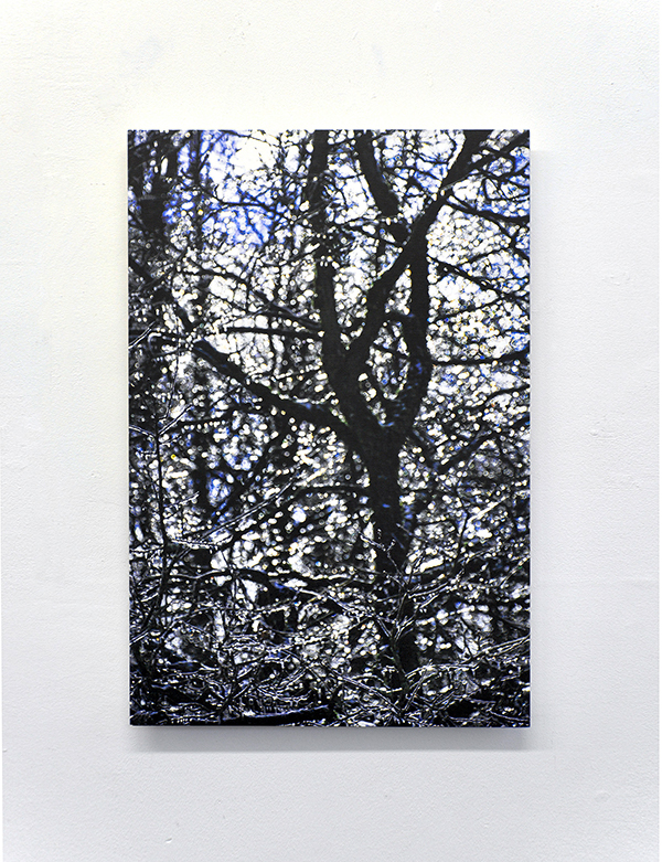 ILEX-1102211458_600PB.jpg ILEX-1102211458_600PB.jpg