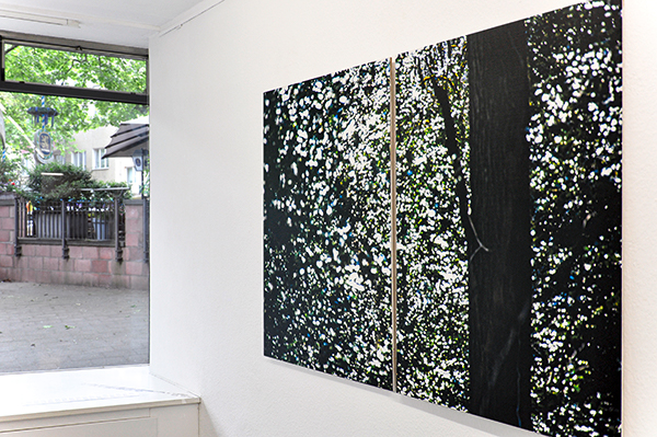 ILEX_120x180cm-2_600PB.jpg ILEX_120x180cm-2_600PB.jpg