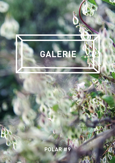 loch_2019-3.jpg loch_2019-3.jpg