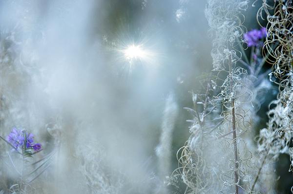 Monolog+Bluethe_web.jpg Monolog+Bluethe_web.jpg