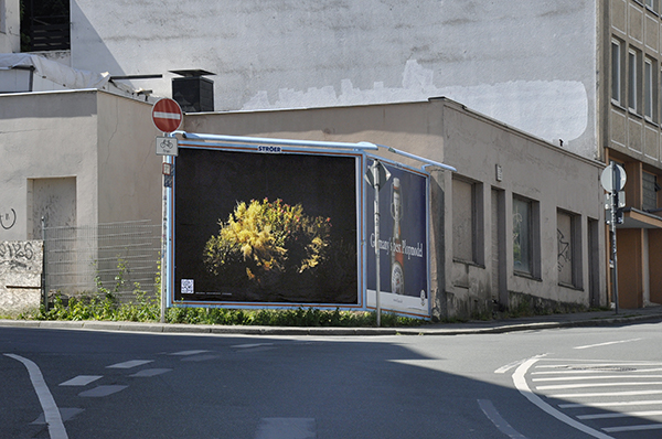 OAA_FN0610142323_2.jpg OAA_FN0610142323_2.jpg