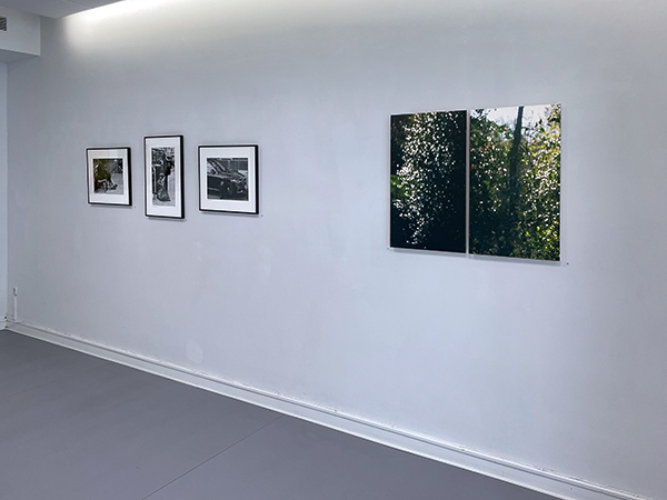 Siegen-1_600PB.jpg Siegen-1_600PB.jpg