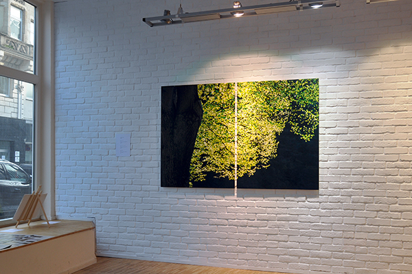 01_DSC0007-1_600PB.jpg 01_DSC0007-1_600PB.jpg