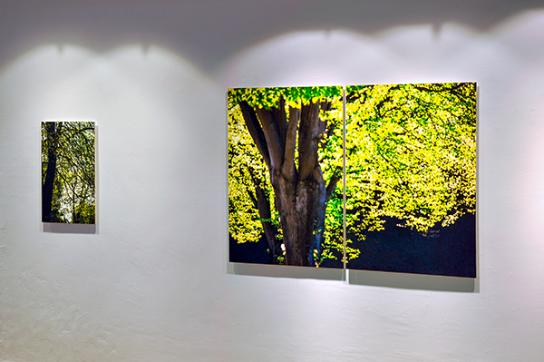 02_DSC2065-1_600PB.jpg 02_DSC2065-1_600PB.jpg