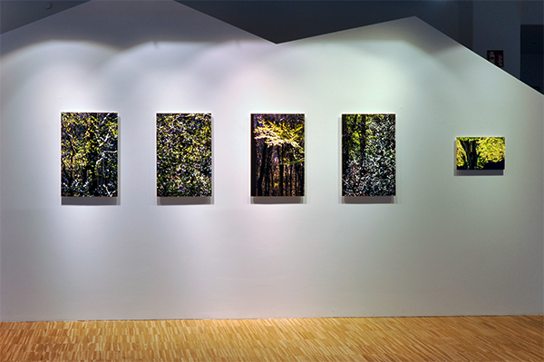 04_DSC2067-1_600PB.jpg 04_DSC2067-1_600PB.jpg